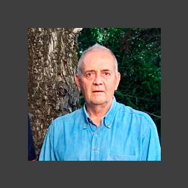 Wilson Ricciluca Jr.