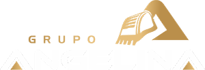 Grupo Angelina